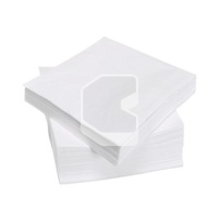 Napkins 33*33 cm, double-layer, 100 sheets/package, white
